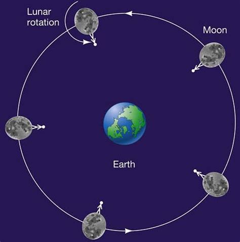 orbital motion - Why lunar day lasts exactly one month? - Physics Stack Exchange