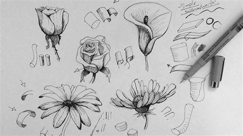 Cool Pen Drawings Of Flowers