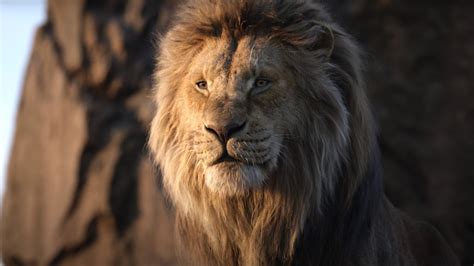 Mufasa: The Lion King Release Date, Cast, Plot, And More Details