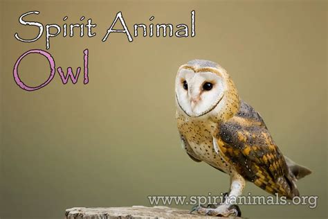 Owl - Spirit Animal Meaning and Interpretation - Spirit Animals