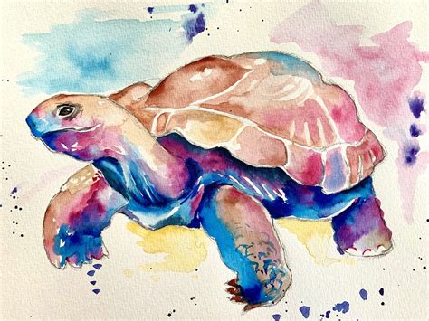 Tortoise in watercolour | ArtBase