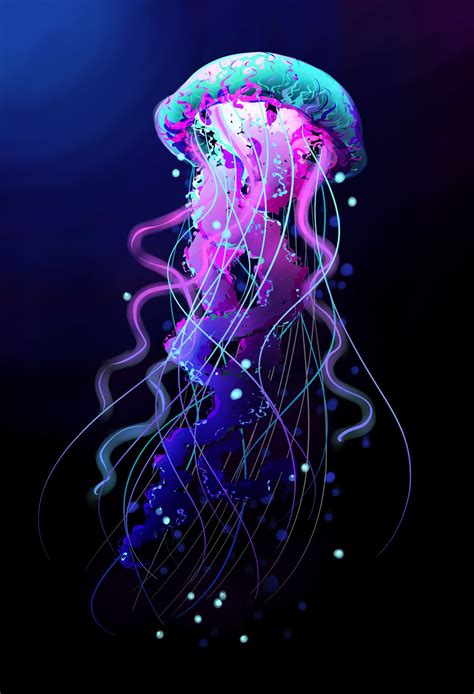 Decided to try my hand at ‘painting’ a jellyfish again Jellyfish Drawing, Jellyfish Painting ...