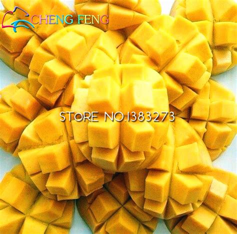 Tropical Mango Fruit Seeds For Lush Vegetation - BestSeedsOnline.com - Free Shipping Worldwide