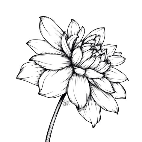 L S Of Flower Drawing / Pin by Alazne L on Drawing | Easy flower ...