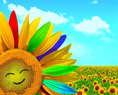 Happy day, flower, sunflower, fields, smiley, HD wallpaper | Peakpx