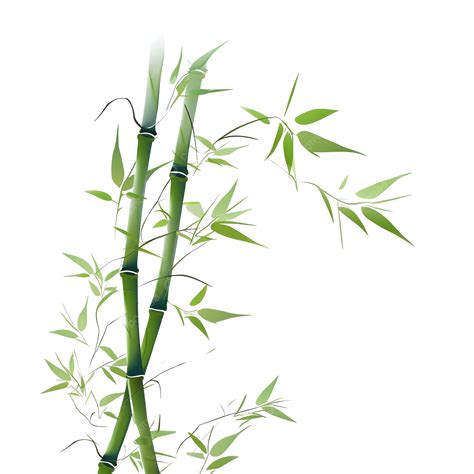 Ai Generative Green Bamboo Illustration, Ai, Generative, Green PNG Transparent Image and Clipart ...