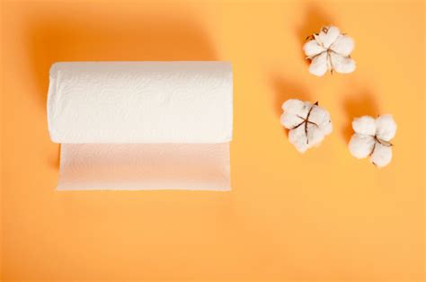 12 Most Eco Friendly Paper Towels (100% Plastic-free)