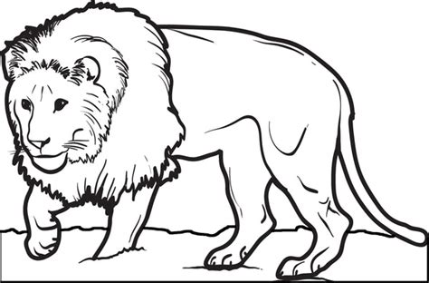 Printable Male Lion Coloring Page for Kids – SupplyMe