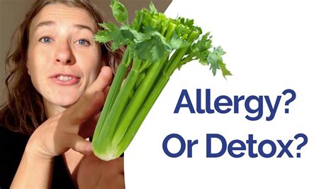 Celery Juice - Am I allergic or is it a detox reaction? Warning Signs ...