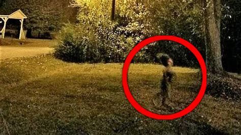 12 Strangest Cryptid Photos - YouTube