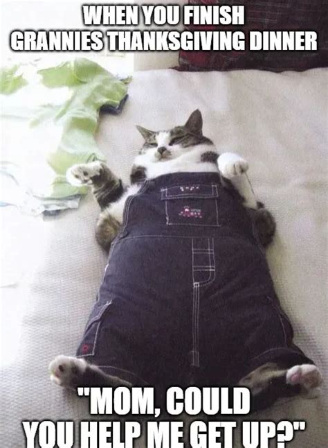 Fat Cat Memes - Piñata Farms - The best meme generator and meme maker ...