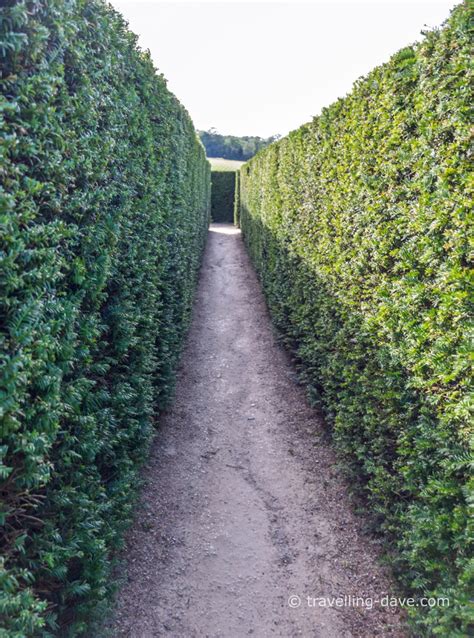 Leeds Castle Maze, Kent | TRAVELLING DAVE