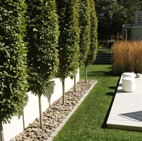 2010 APLD Landscape Design Awards | Garden Design | Modern garden ...