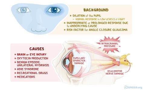 Miosis Y Midriasis