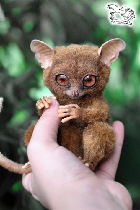 Tarsier by Yulia Leonovich | Tedsby