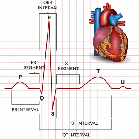 12-Lead ECG - Peter Yan Cardiology Clinic