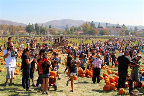 Cal Poly Pomona Pumpkin Festival 2024 in Los Angeles - Rove.me