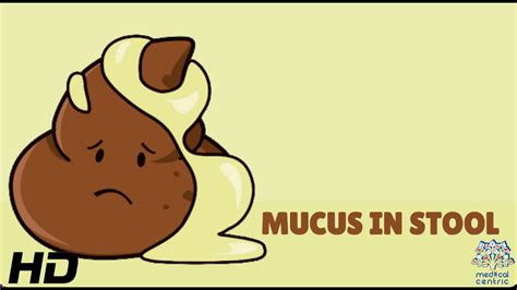 A Lot Of Mucus In Dog Poop