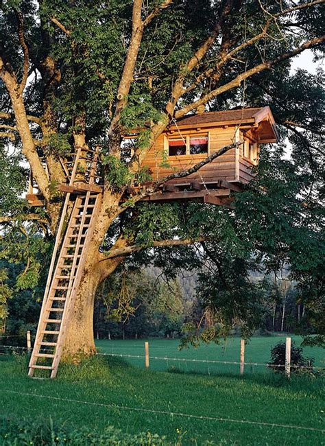 awesome-treehouse-backyard-garden