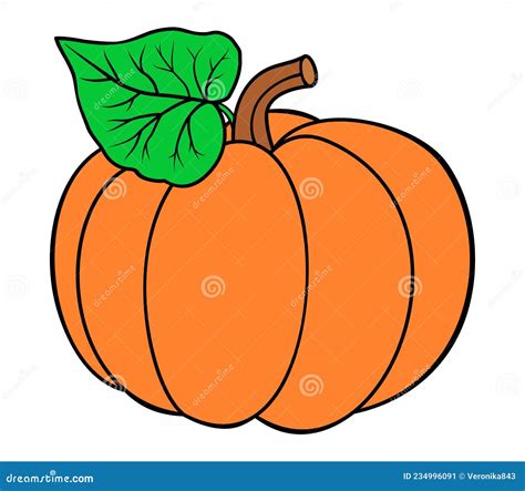 Cartoon Pumpkin with Leaf. Squash Vector Illustration Isolated on White ...