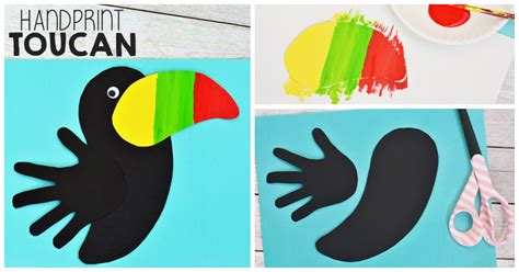 Rainforest Animals Toucan For Kids