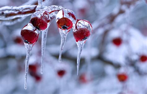 hd wallpapers 2012: winter nature photography