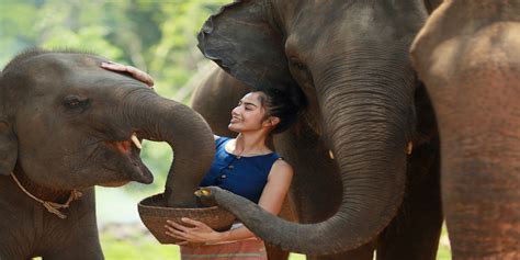 Thaliand - Travel and Tours | Exotic Wildlife In Thailand