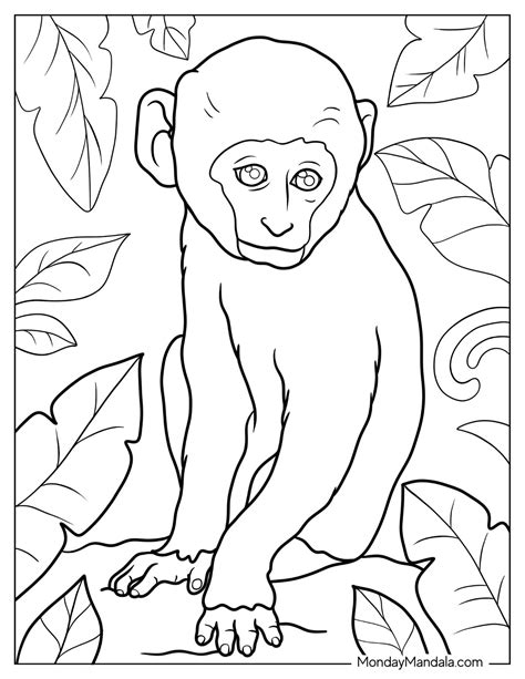 26 Monkey Coloring Pages (Free PDF Printables)