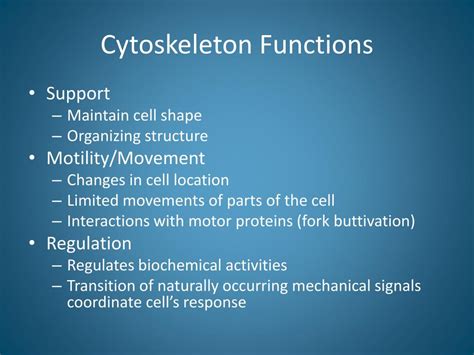 PPT - Cytoskeleton PowerPoint Presentation, free download - ID:2321432