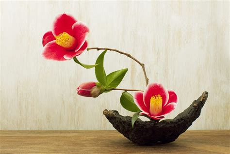 Ikebana Information: Growing Plants For Ikebana Flower Arranging | Gardening Know How