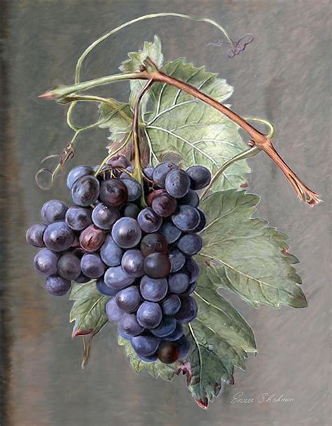 Grapes Painting by Portraits By NC