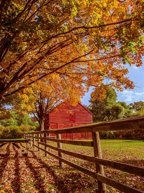 Fall colors perfect match for an old barn. Old Bethpage, New York [3337 x 4449] [OC] : r/ruralporn