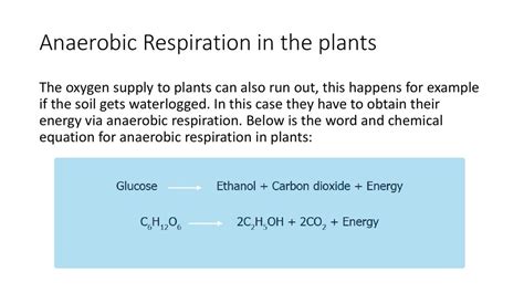 Stunning Word Equation For Anaerobic Respiration In Plant And Yeast ...