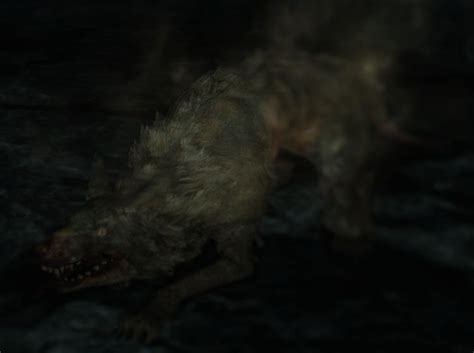 Dog Rat | Dark Souls Wiki | FANDOM powered by Wikia