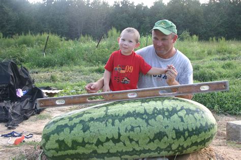 IMG_0089 | Giant Watermelon Growers Club – Growin' Big Melons