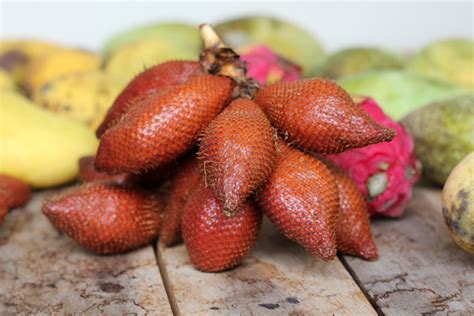 Snake Fruit - Delicious Taste, Terrifying Nightmare