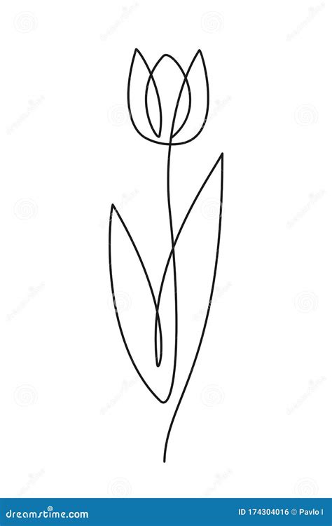 Tulip Flower Line Art. One Line Artwork. Minimalist Contour Drawing - Vector Stock Vector ...