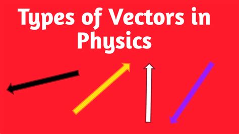 Types of Vectors in Physics with Examples | BZU Science