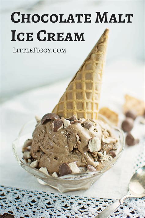 Chocolate Malt Ice Cream - Little Figgy Food