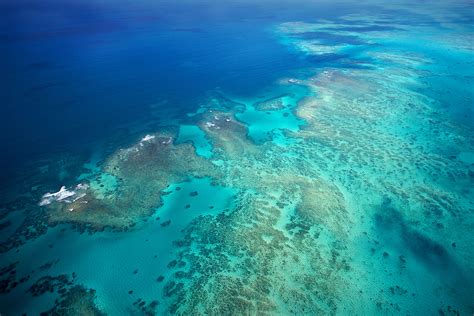 Great Barrier Reef - Nature's Sunken Garden | Tropical North QLD