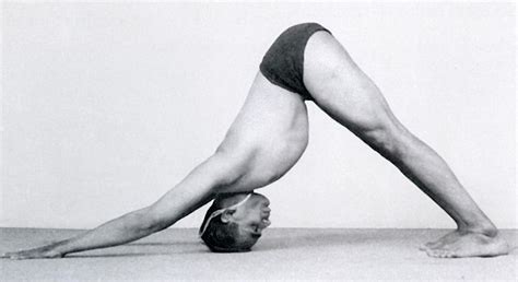 iyengar yoga explained wikipedia