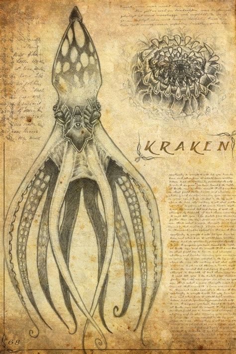 Kraken Mythology Norse - All Gadoes