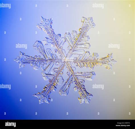 Snowflake microscope hi-res stock photography and images - Alamy