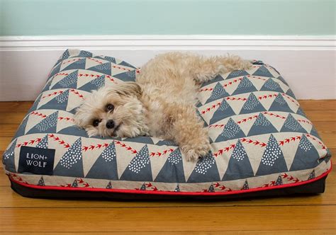 The Best Waterproof Dog Bed in 2024 (Reviews & Buying Guide)