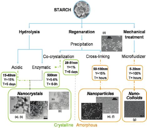 Plant-Derived Nanostructures: Types and Applications (PDF Download ...