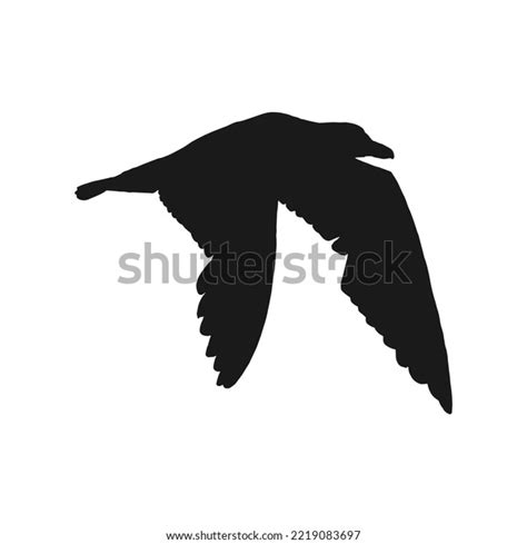 Silhouette Flying Seagulls Hand Drawn Illustration Stock Vector (Royalty Free) 2219083697 ...