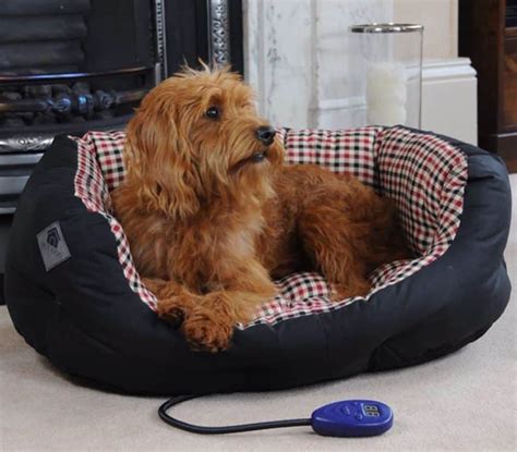 27 of the best heated dog beds (Options and Reviews) in 2022 - Animalso