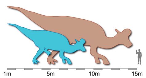 Lambeosaurus Pictures & Facts - The Dinosaur Database