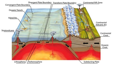 Steps Of Plate Tectonic Process