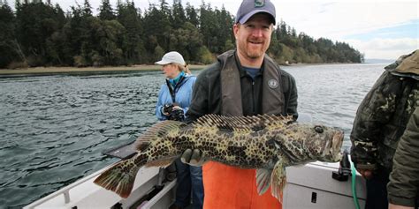 Puget Sound Ling Cod Fishing Spots - FISHING OPK